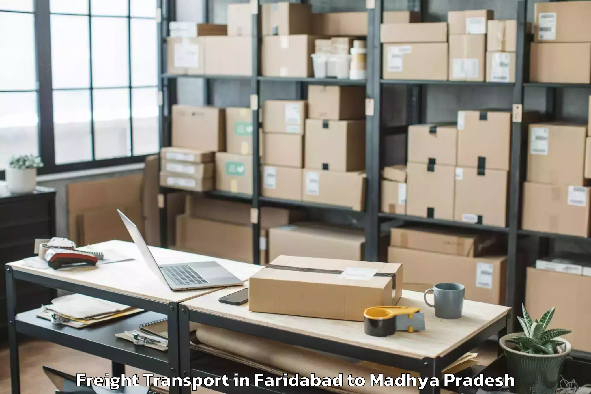 Quality Faridabad to Raghogarh Vijaypur Freight Transport